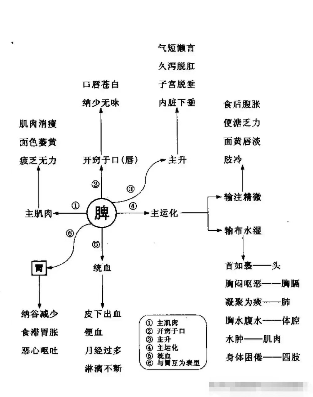 诊断学