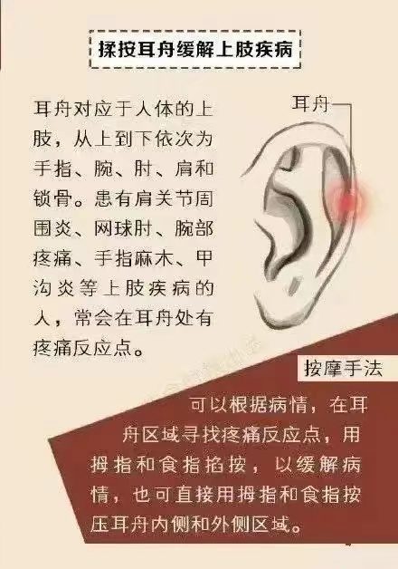 耳诊