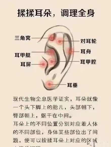 耳诊