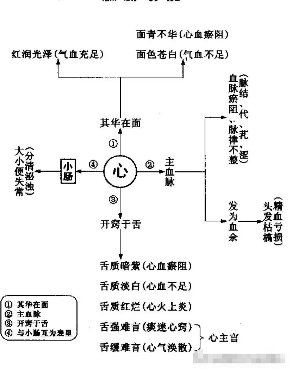 诊断学